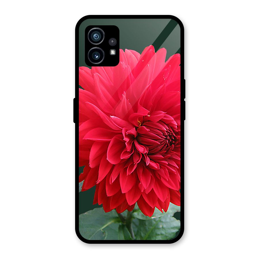RedFlower. Glass Back Case for Nothing Phone 1