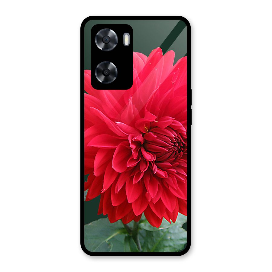 RedFlower. Glass Back Case for OnePlus Nord N20 SE