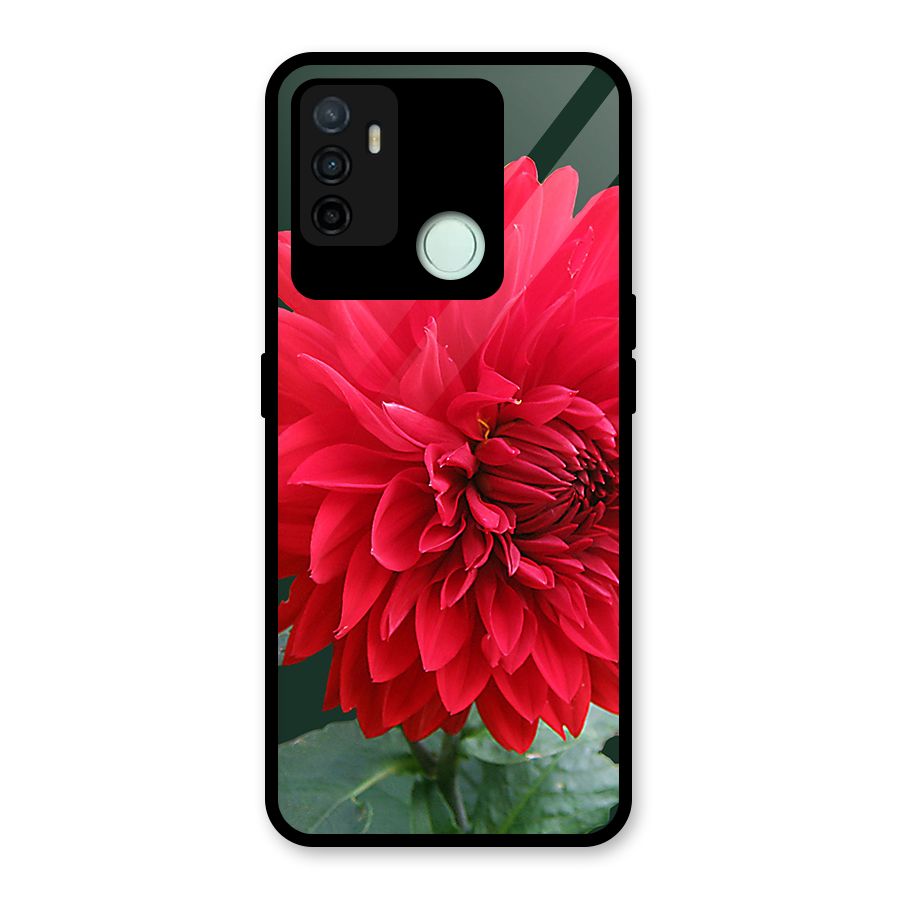 RedFlower. Glass Back Case for Oppo A53