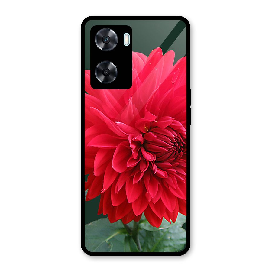 RedFlower. Glass Back Case for Oppo A77s