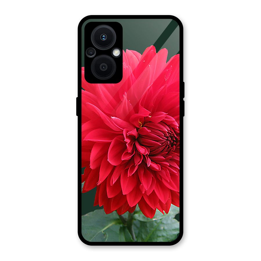 RedFlower. Glass Back Case for Oppo F21s Pro 5G