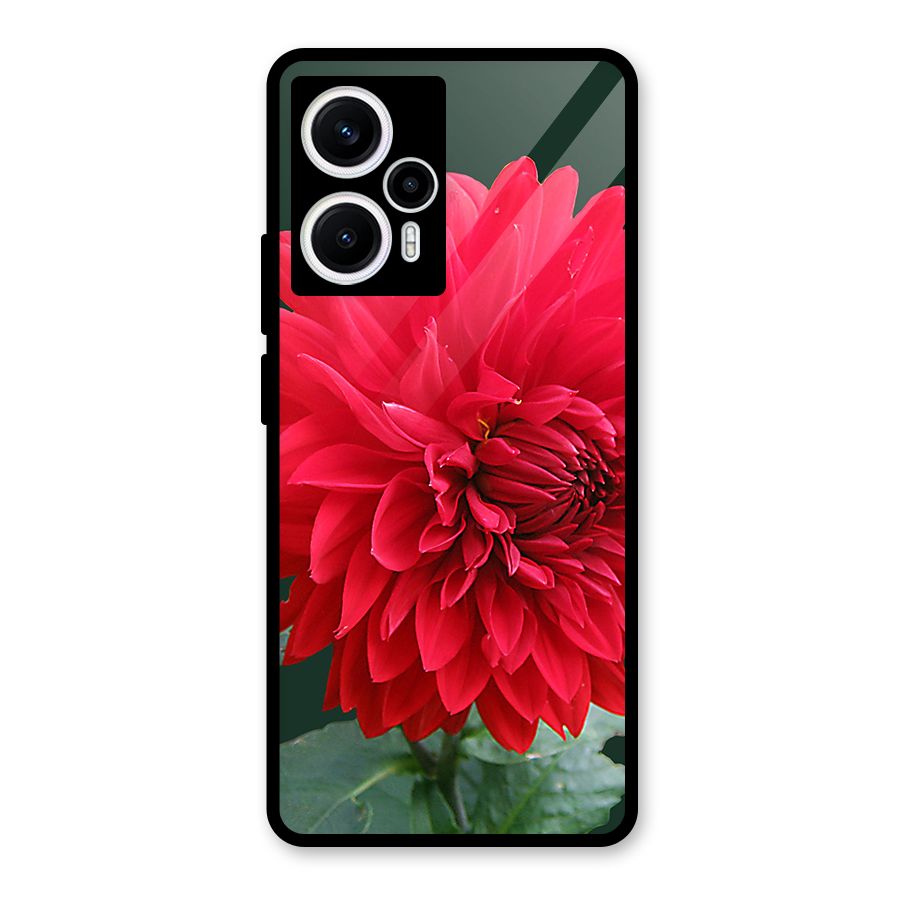 RedFlower. Glass Back Case for Poco F5
