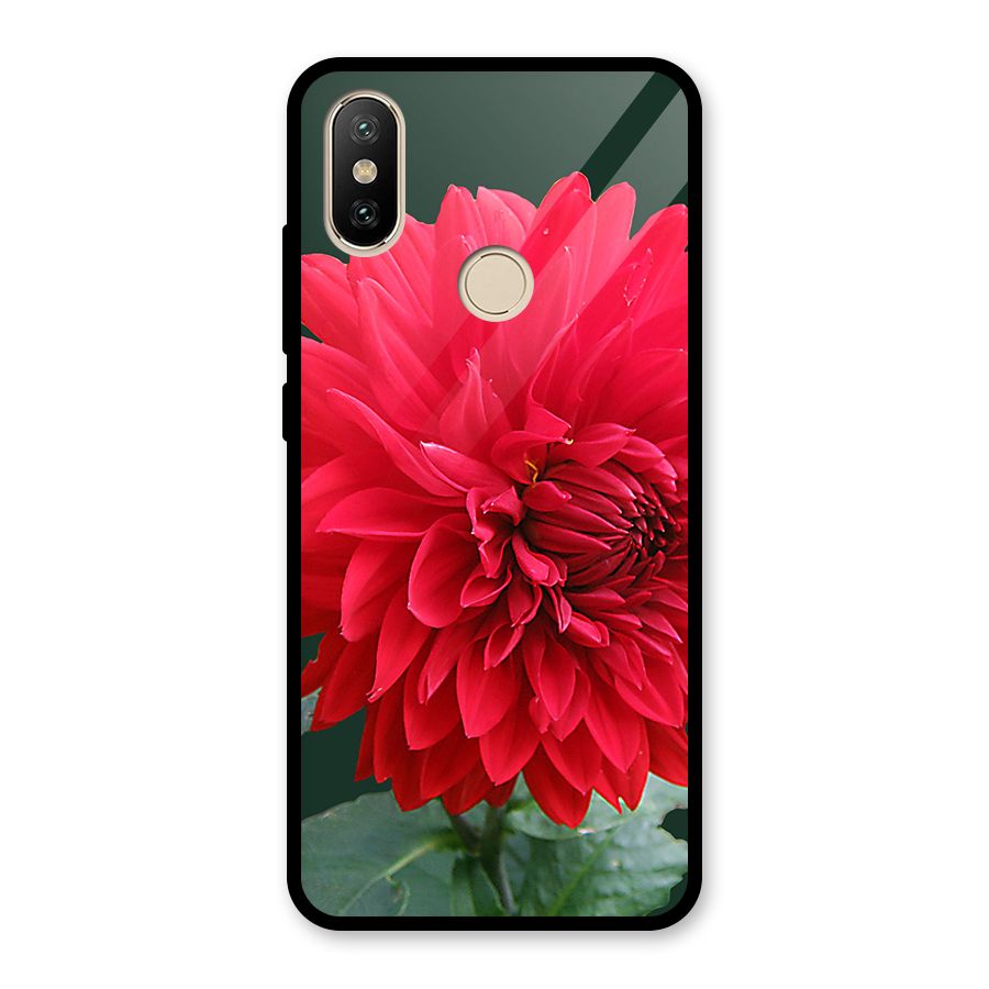 RedFlower. Glass Back Case for Redmi A2