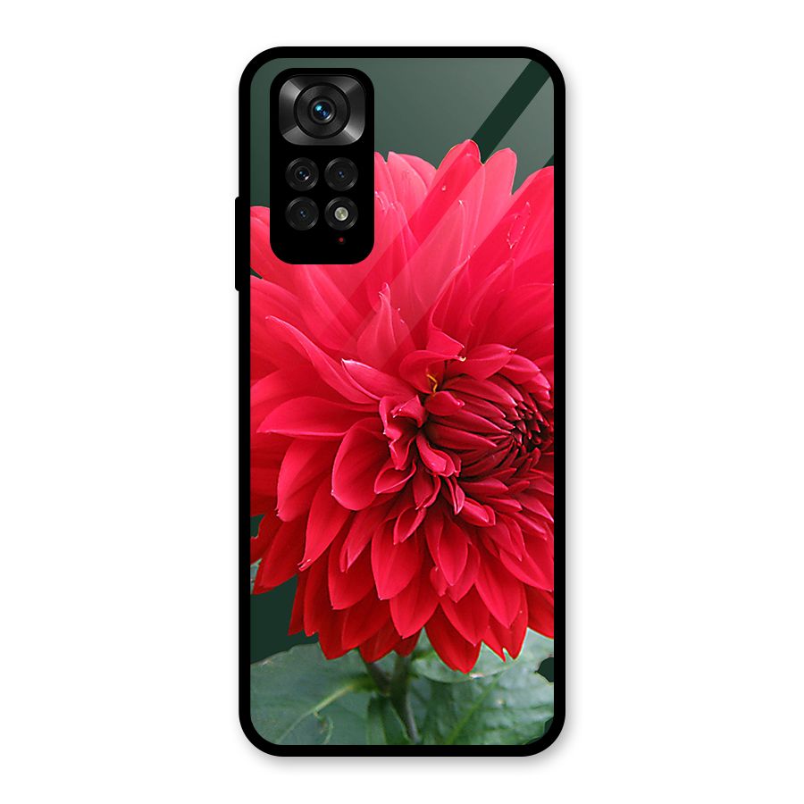 RedFlower. Glass Back Case for Redmi Note 11S