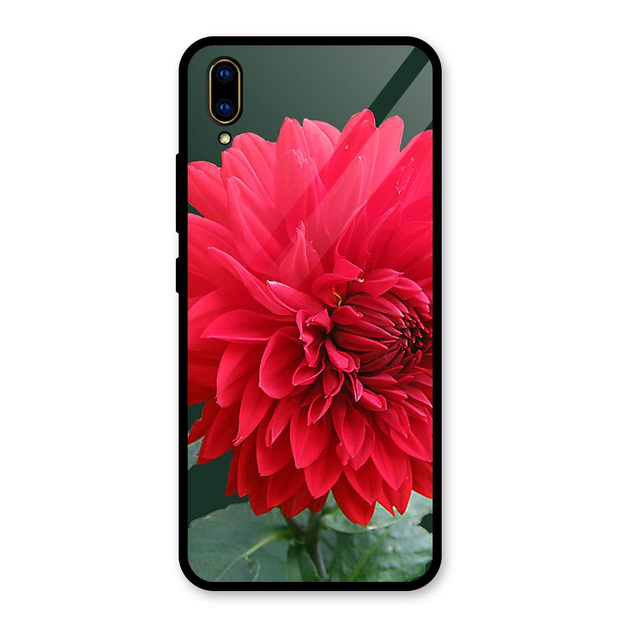 RedFlower. Glass Back Case for Vivo V11 Pro