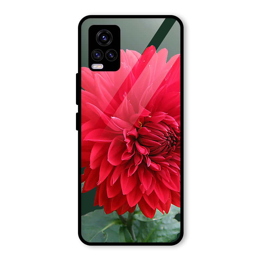RedFlower. Glass Back Case for Vivo V20 2021