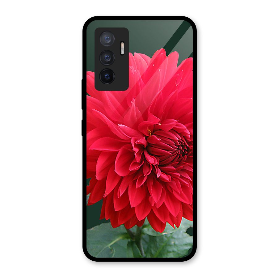 RedFlower. Glass Back Case for Vivo V23e