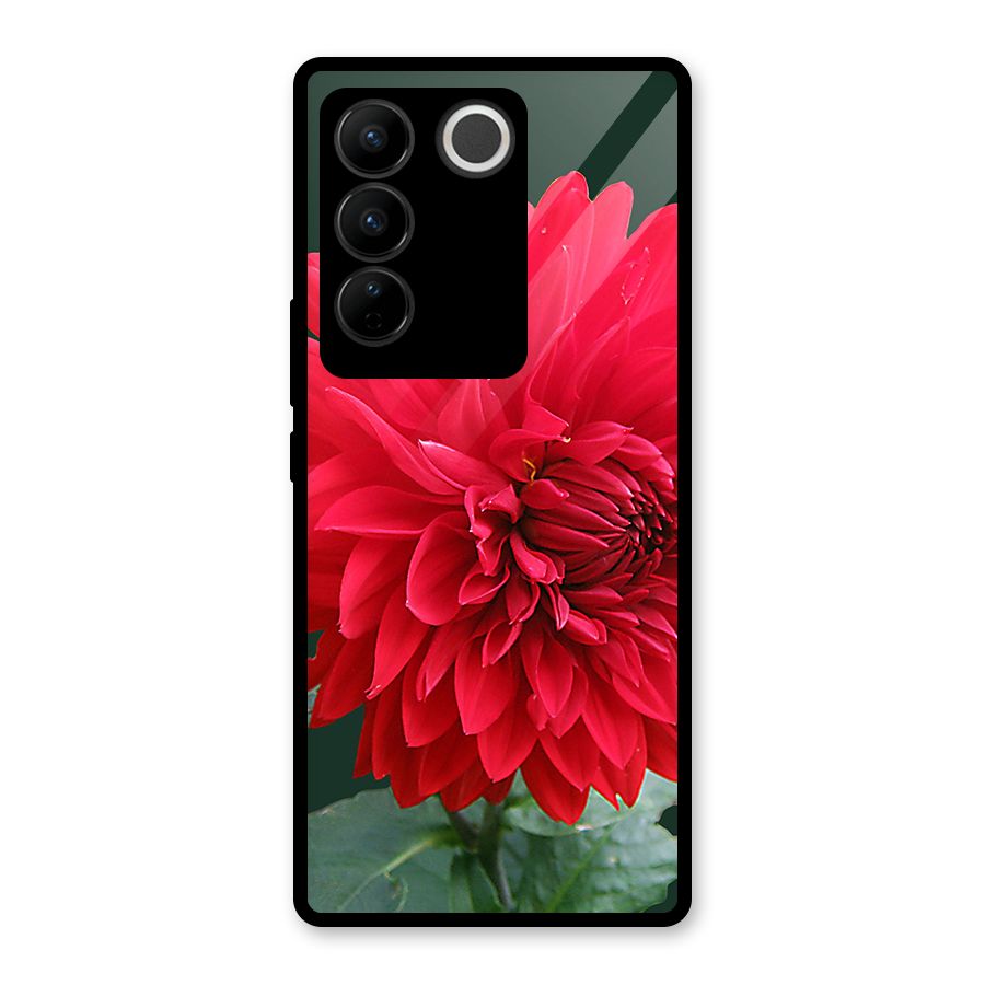 RedFlower. Glass Back Case for Vivo V27