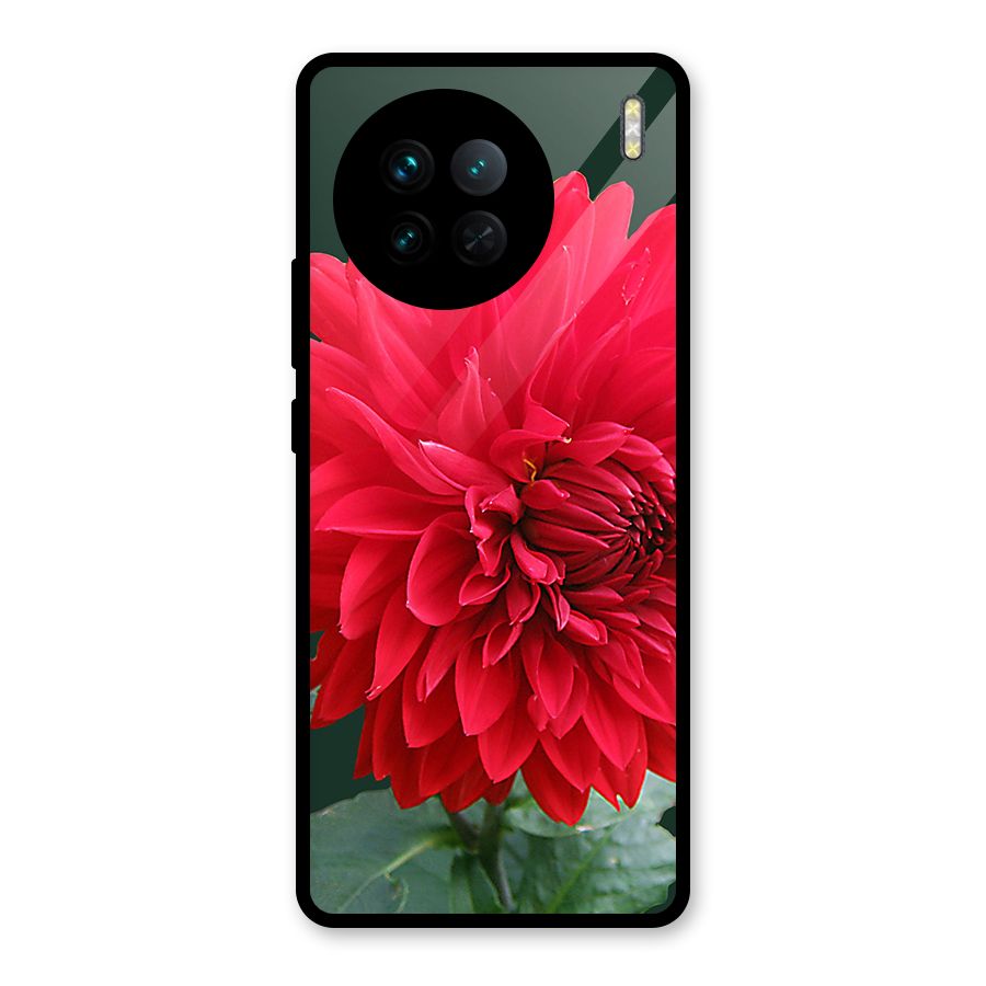 RedFlower. Glass Back Case for Vivo X90