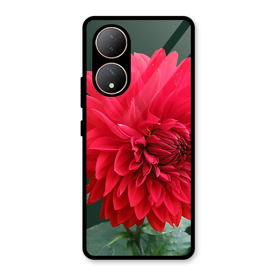 RedFlower. Glass Back Case for Vivo Y100A