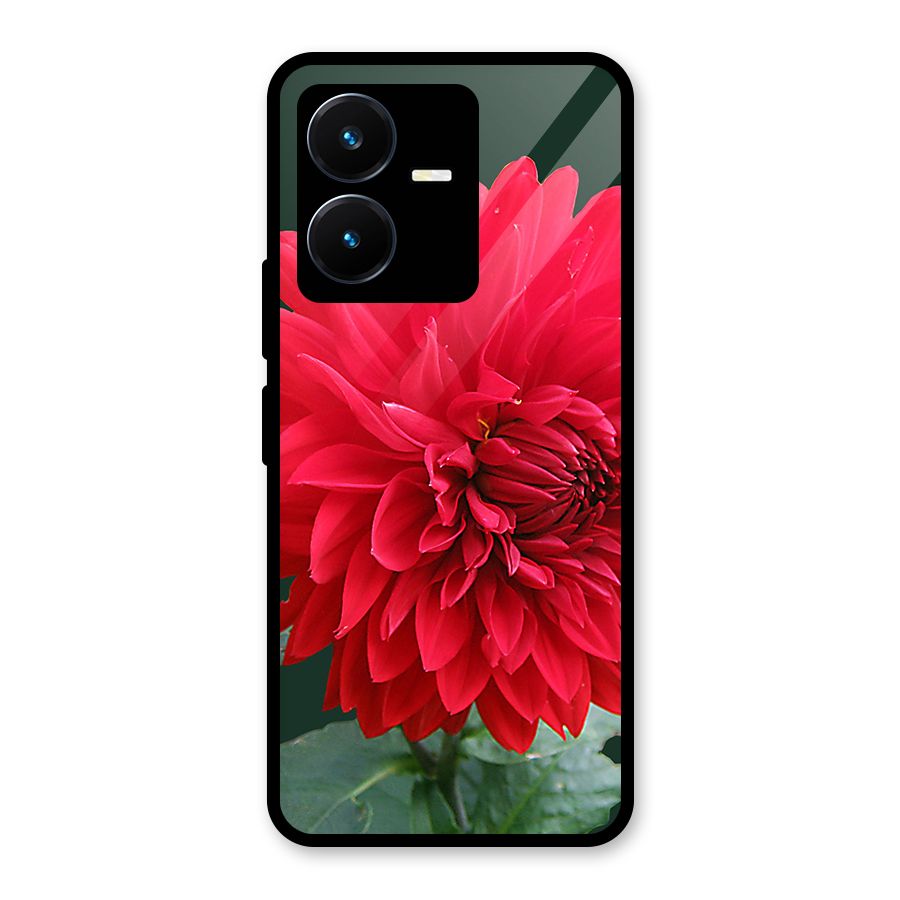 RedFlower. Glass Back Case for Vivo Y22s