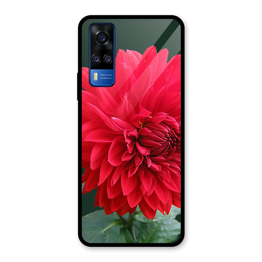 RedFlower. Glass Back Case for Vivo Y31