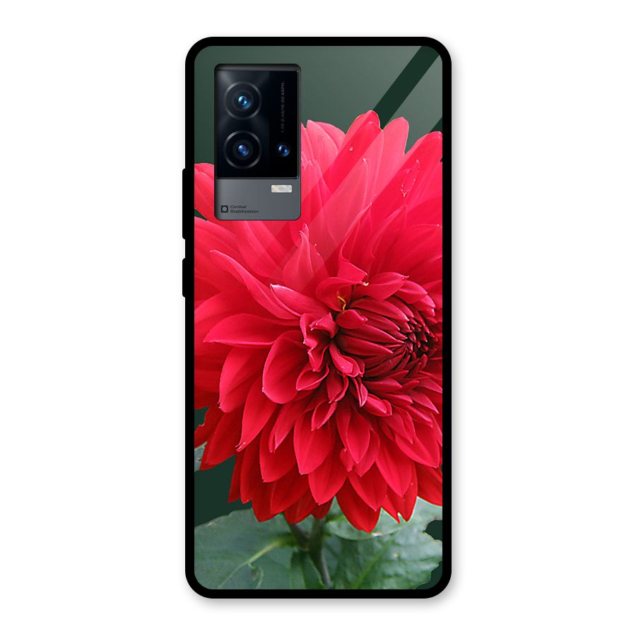 RedFlower. Glass Back Case for iQOO 9 5G