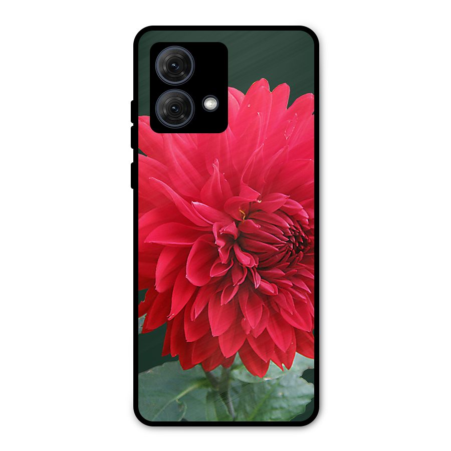 RedFlower. Metal Back Case for Moto G84
