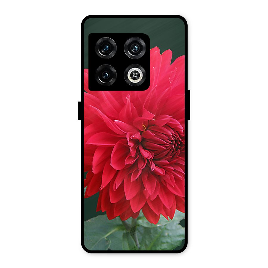 RedFlower. Metal Back Case for OnePlus 10 Pro 5G