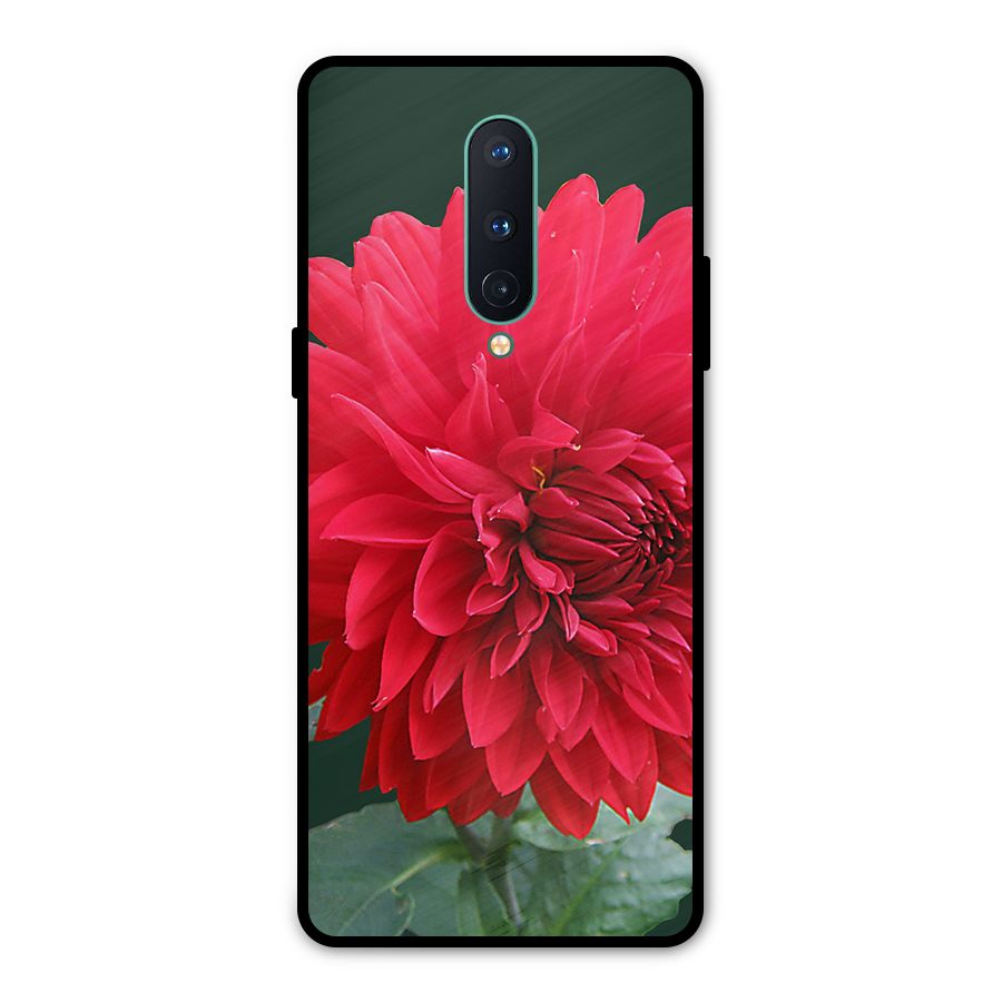 RedFlower. Metal Back Case for OnePlus 8