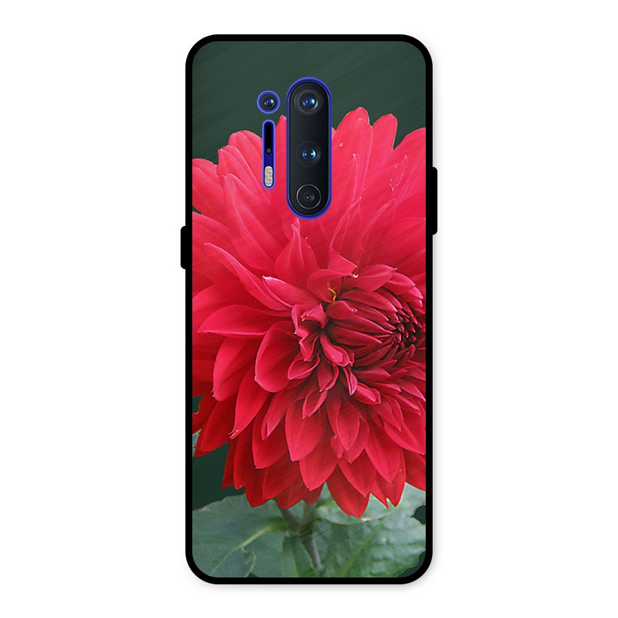 RedFlower. Metal Back Case for OnePlus 8 Pro