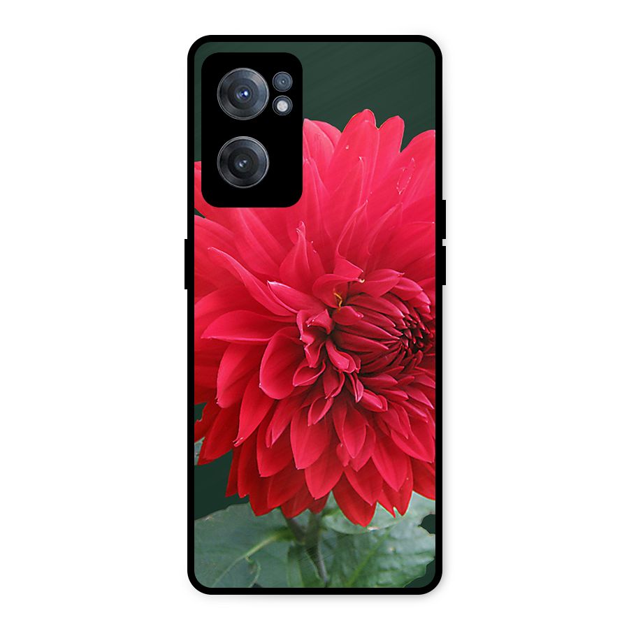RedFlower. Metal Back Case for OnePlus Nord CE 2 5G