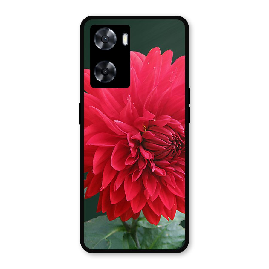 RedFlower. Metal Back Case for OnePlus Nord N20 SE