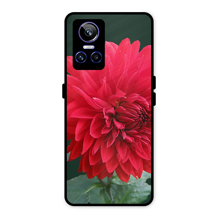 RedFlower. Metal Back Case for Realme GT Neo 3