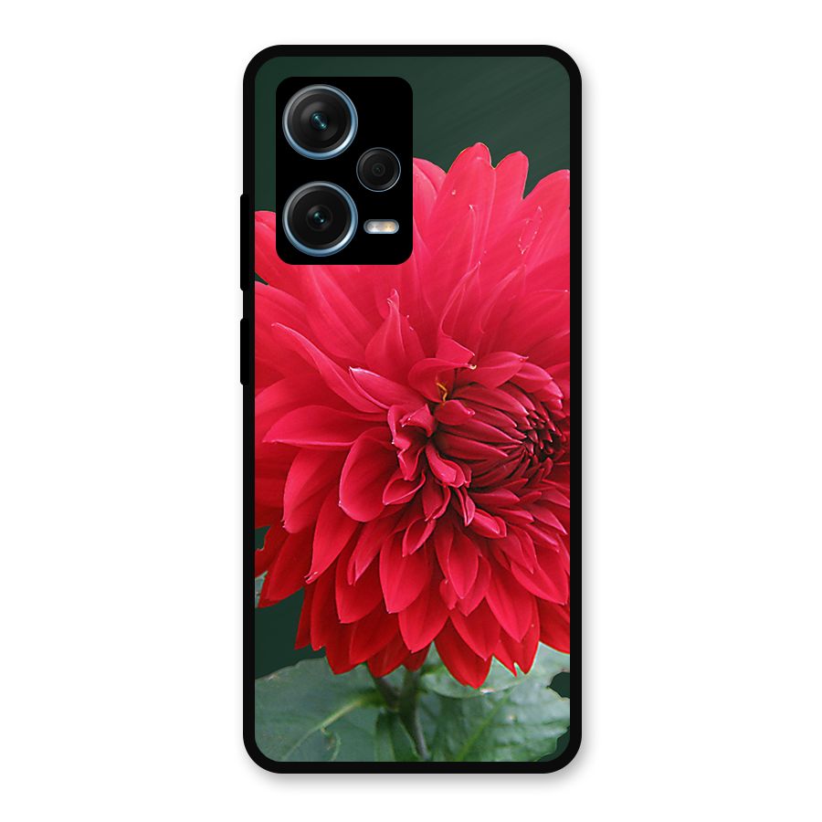 RedFlower. Metal Back Case for Redmi Note 12 Pro Plus 5G