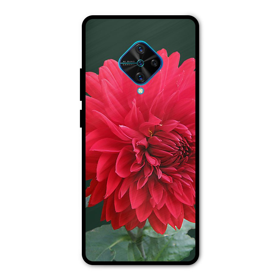 RedFlower. Metal Back Case for Vivo S1 Pro