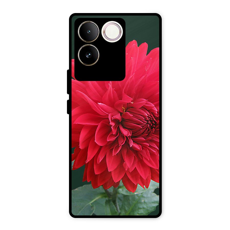 RedFlower. Metal Back Case for Vivo T2 Pro
