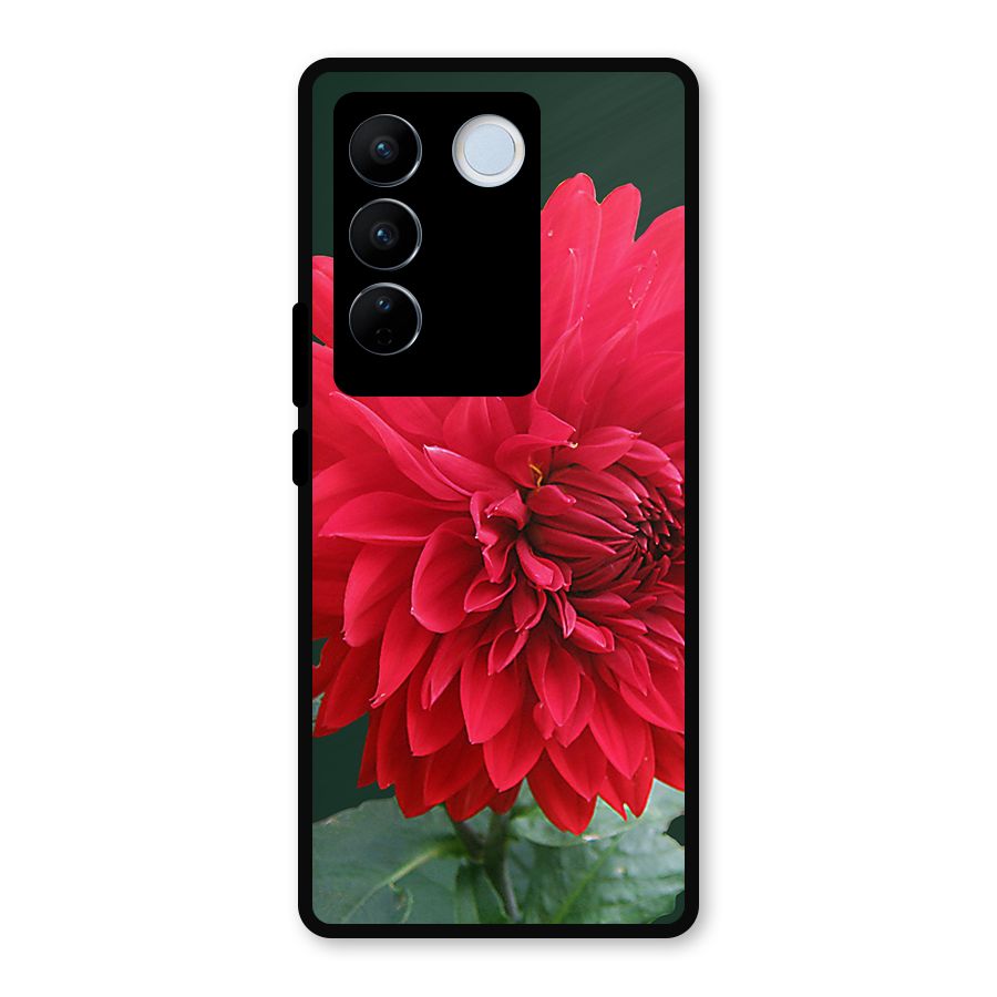 RedFlower. Metal Back Case for Vivo V27