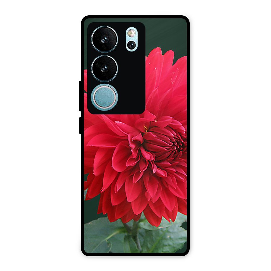 RedFlower. Metal Back Case for Vivo V29 Pro