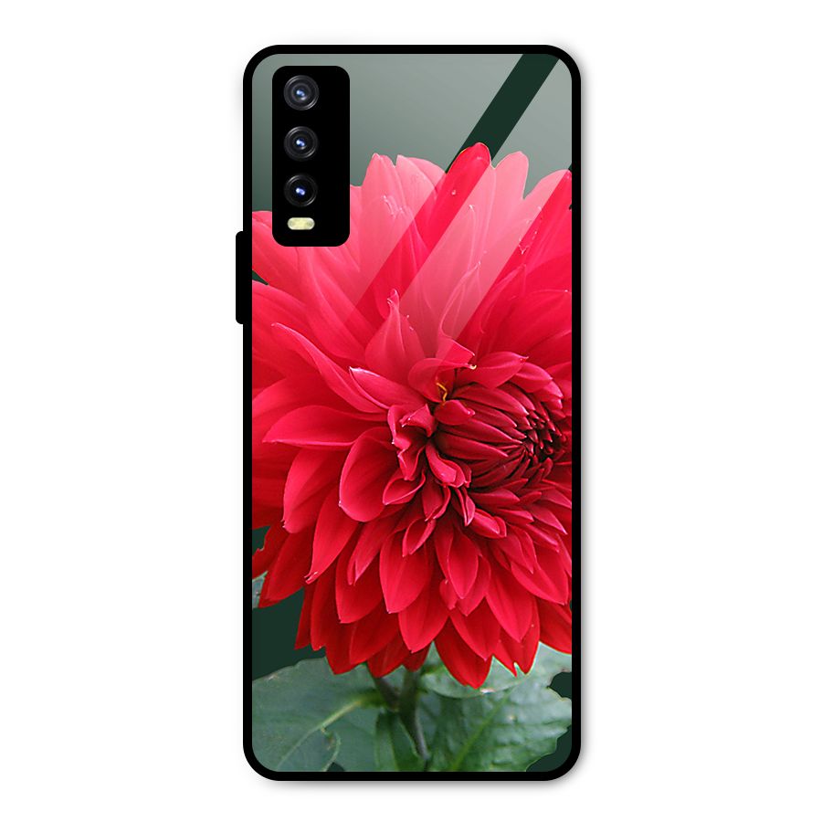 RedFlower. Metal Back Case for Vivo Y20