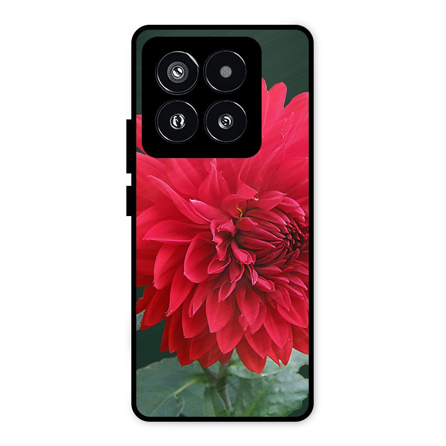 RedFlower. Metal Back Case for Xiaomi 14 Pro