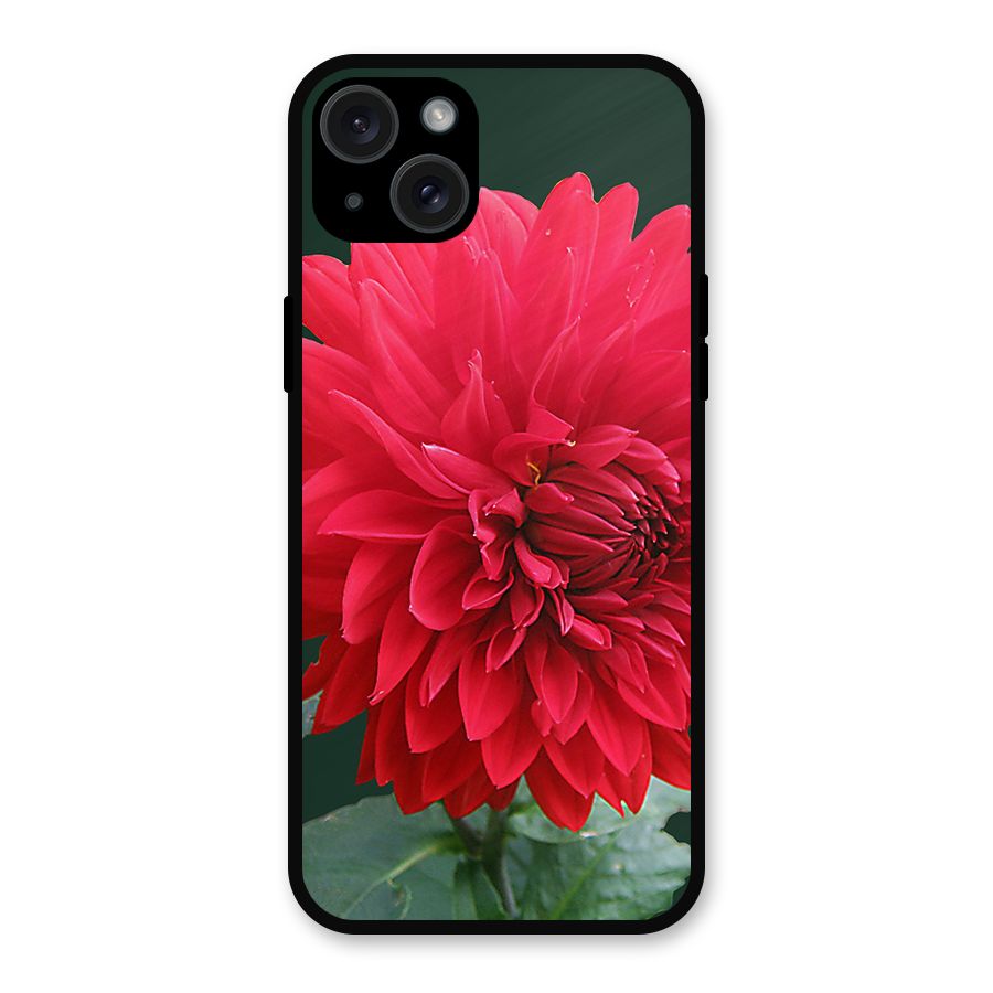 RedFlower. Metal Back Case for iPhone 15 Plus