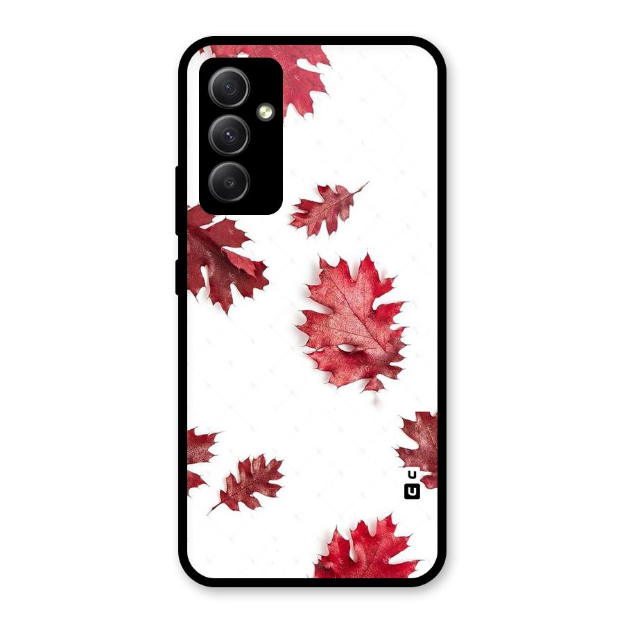 Red Appealing Autumn Leaves Glass Back Case for Galaxy A34