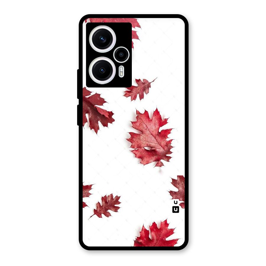 Red Appealing Autumn Leaves Glass Back Case for Poco F5
