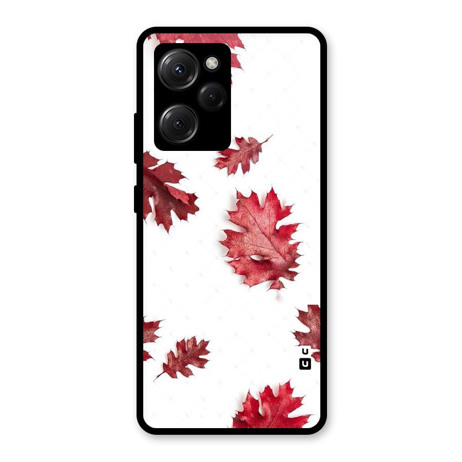 Red Appealing Autumn Leaves Glass Back Case for Poco X5 Pro