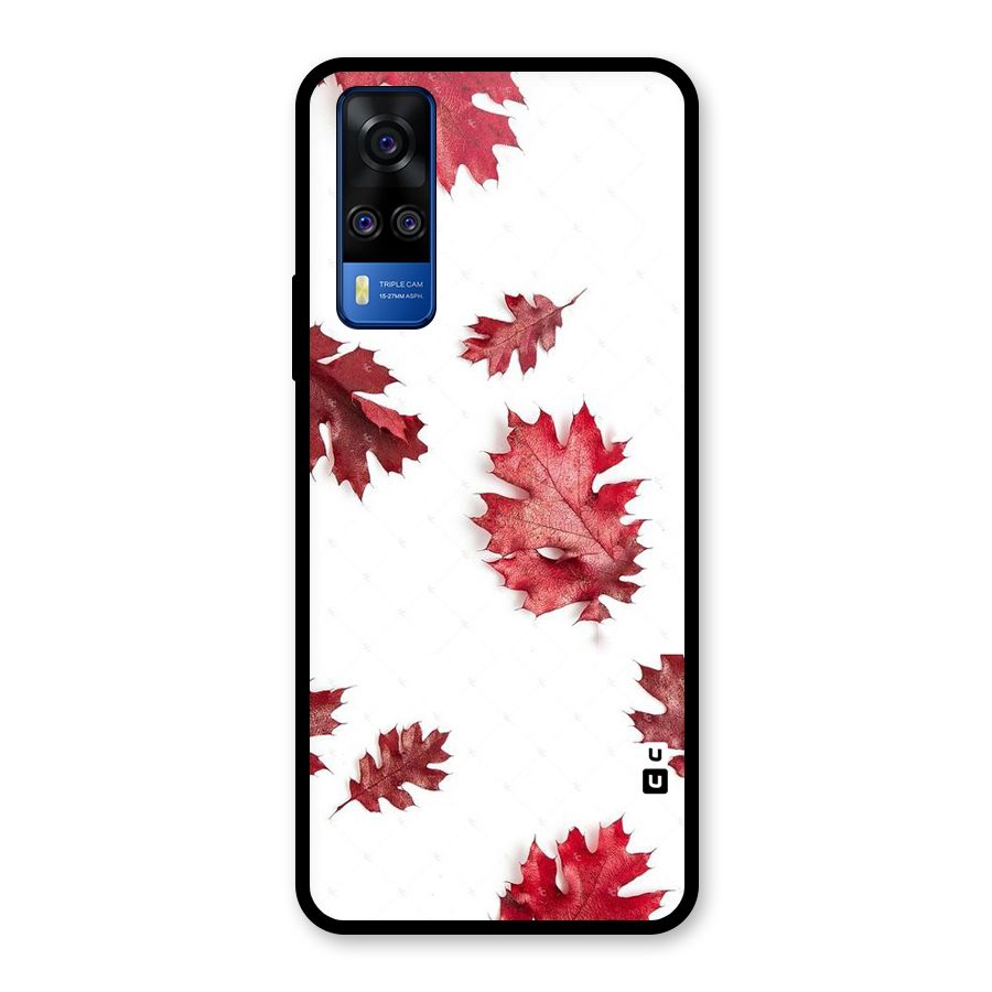 Red Appealing Autumn Leaves Glass Back Case for Vivo Y31