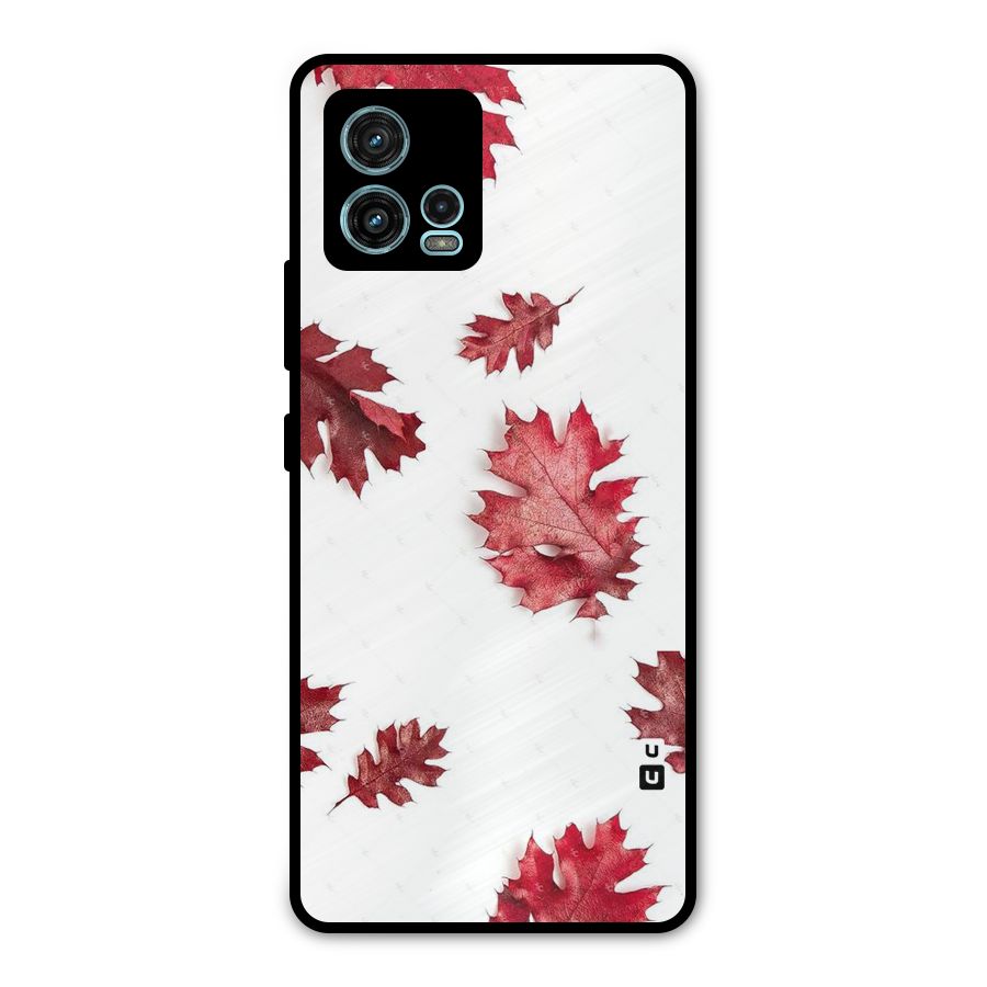 Red Appealing Autumn Leaves Metal Back Case for Moto G72