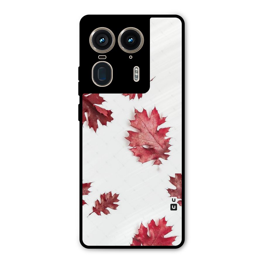Red Appealing Autumn Leaves Metal Back Case for Motorola Edge 50 Ultra