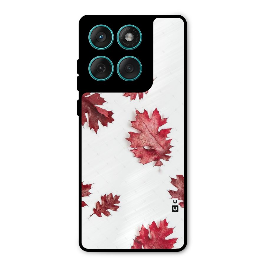 Red Appealing Autumn Leaves Metal Back Case for Motorola Edge 60 Fusion