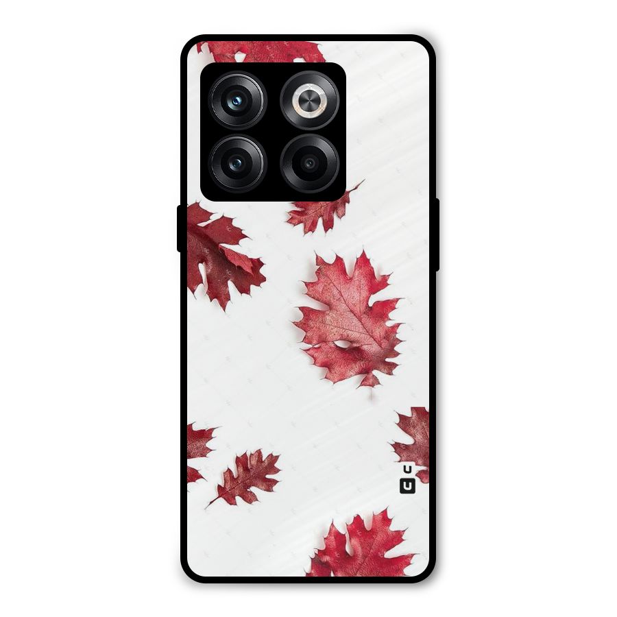 Red Appealing Autumn Leaves Metal Back Case for OnePlus 10T