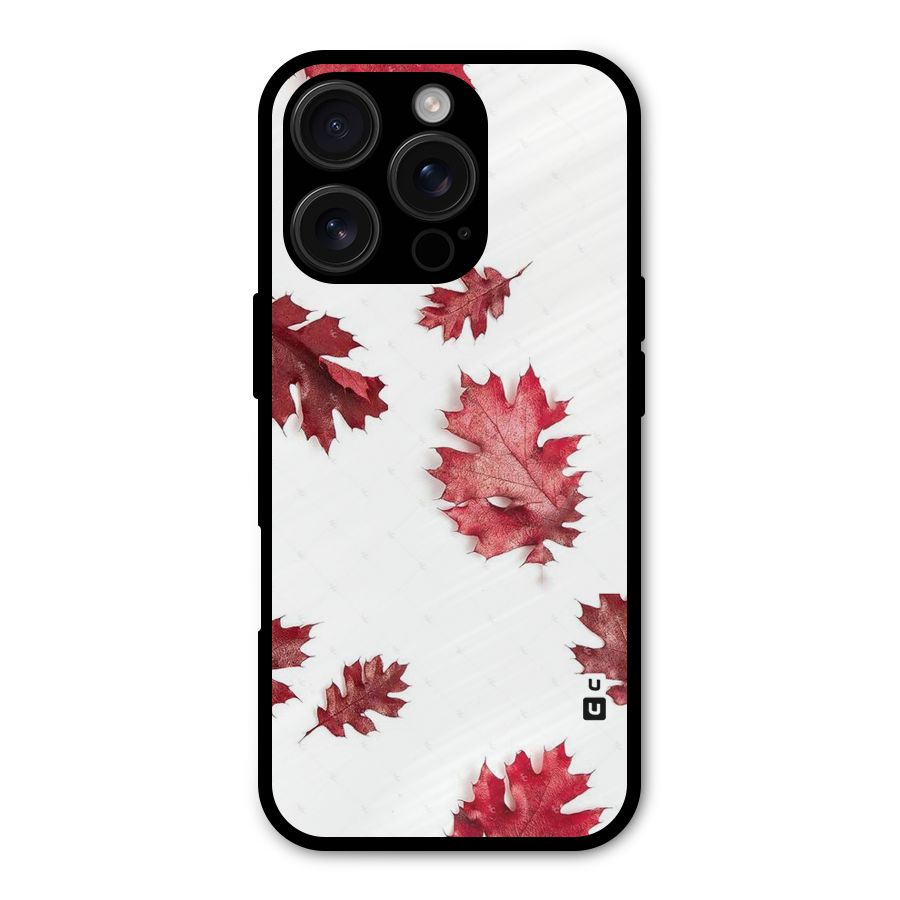 Red Appealing Autumn Leaves Metal Back Case for iPhone 16 Pro