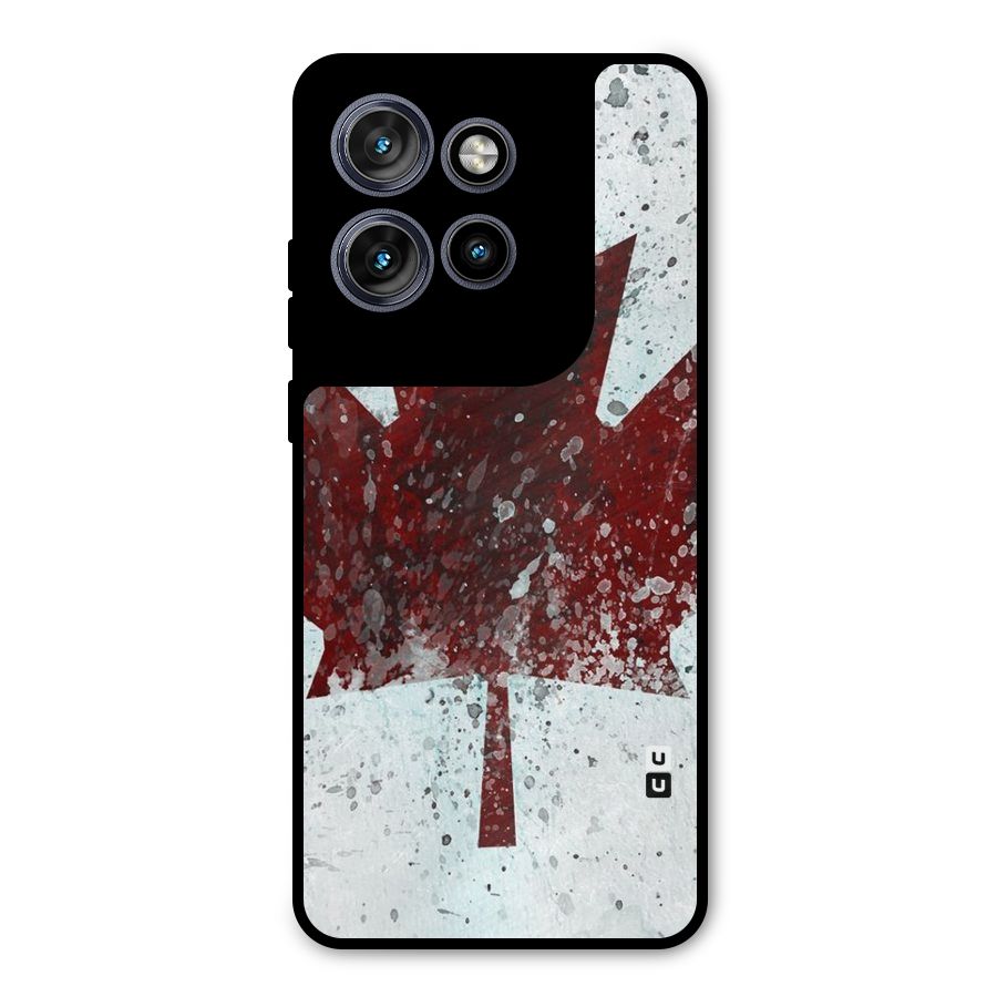 Red Maple Snow Metal Back Case for Motorola Edge 50 Neo
