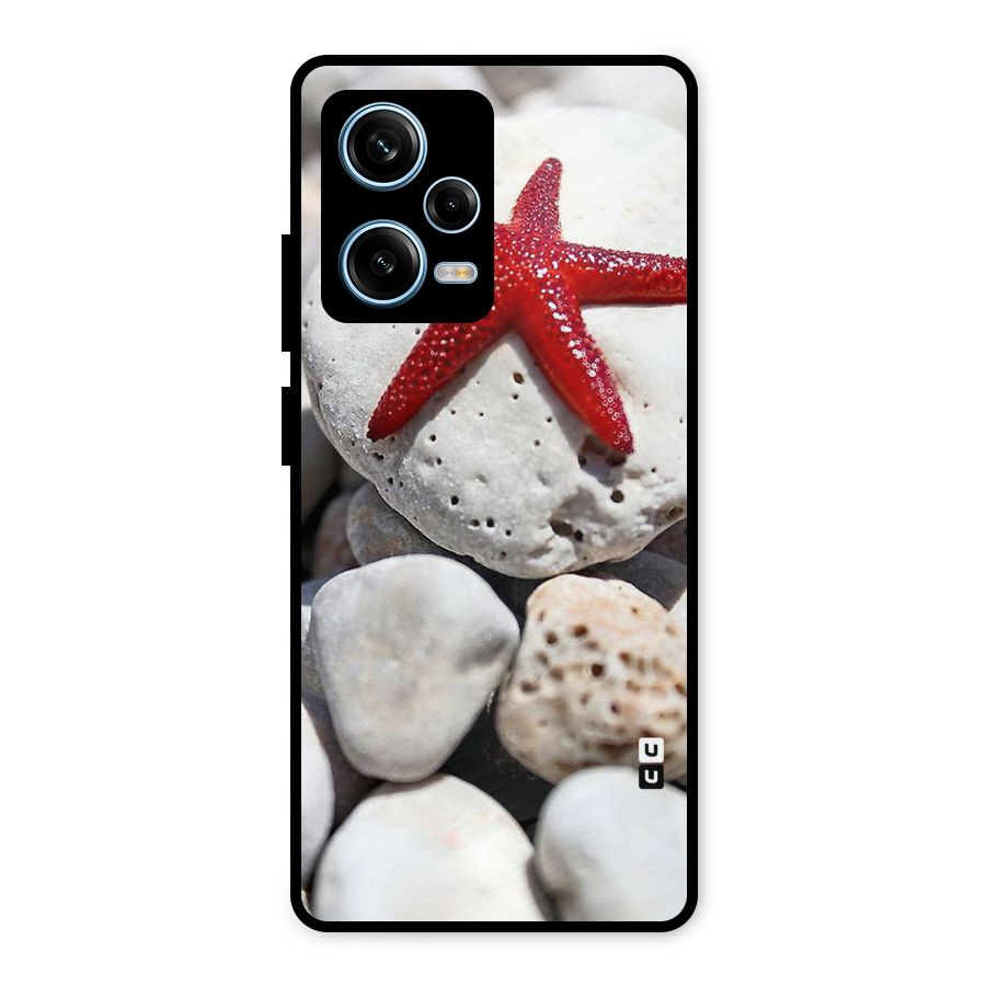 Red Star Fish Metal Back Case for Redmi Note 12 Pro