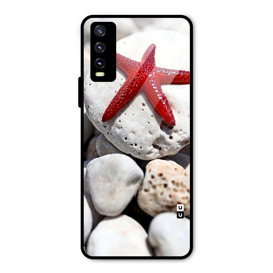 Red Star Fish Metal Back Case for Vivo Y20 2021