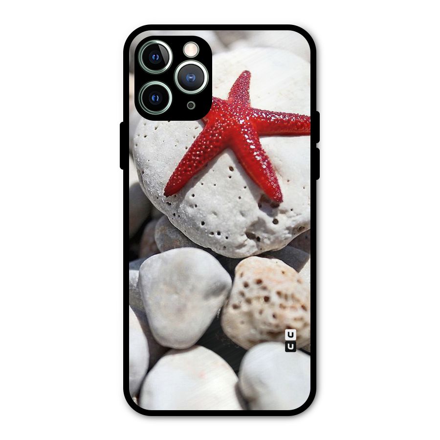 Red Star Fish Metal Back Case for iPhone 11 Pro Max