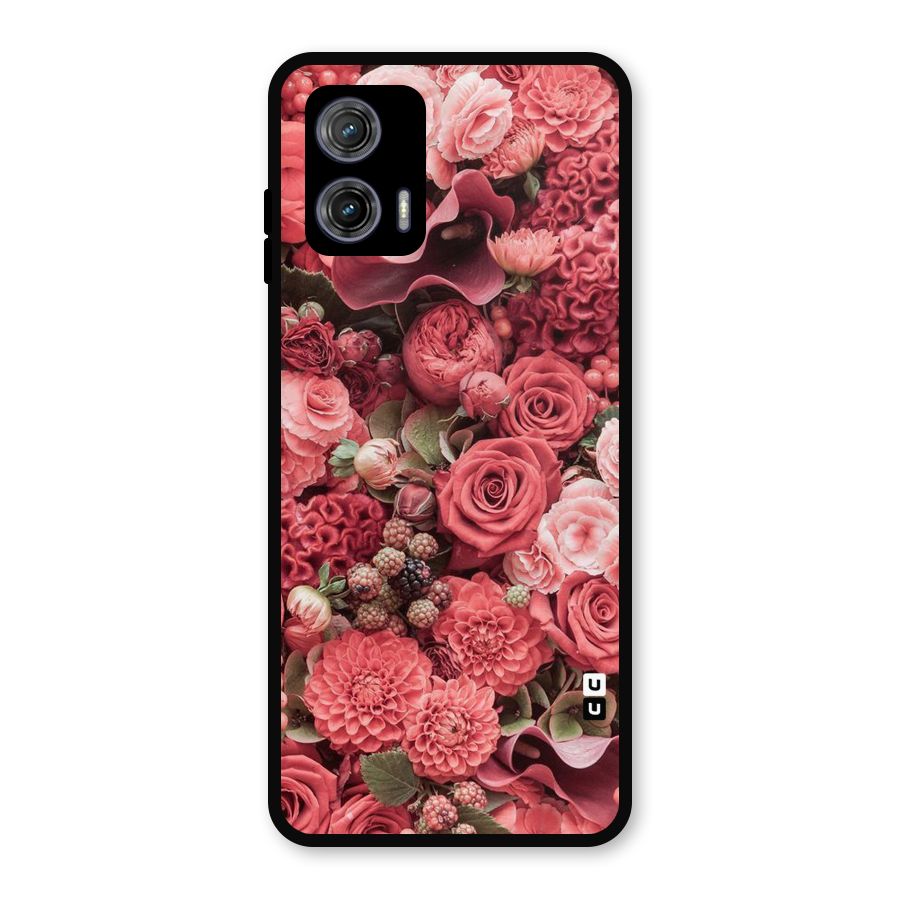 Shades Of Peach Metal Back Case for Moto G73