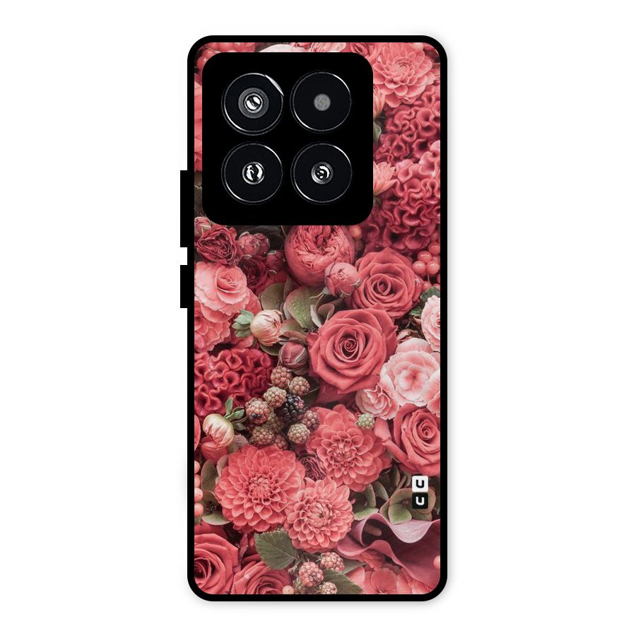 Shades Of Peach Metal Back Case for Xiaomi 14 Pro