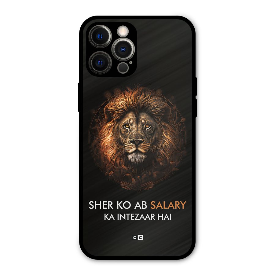 Sher On Salary Metal Back Case for iPhone 12 Pro Max