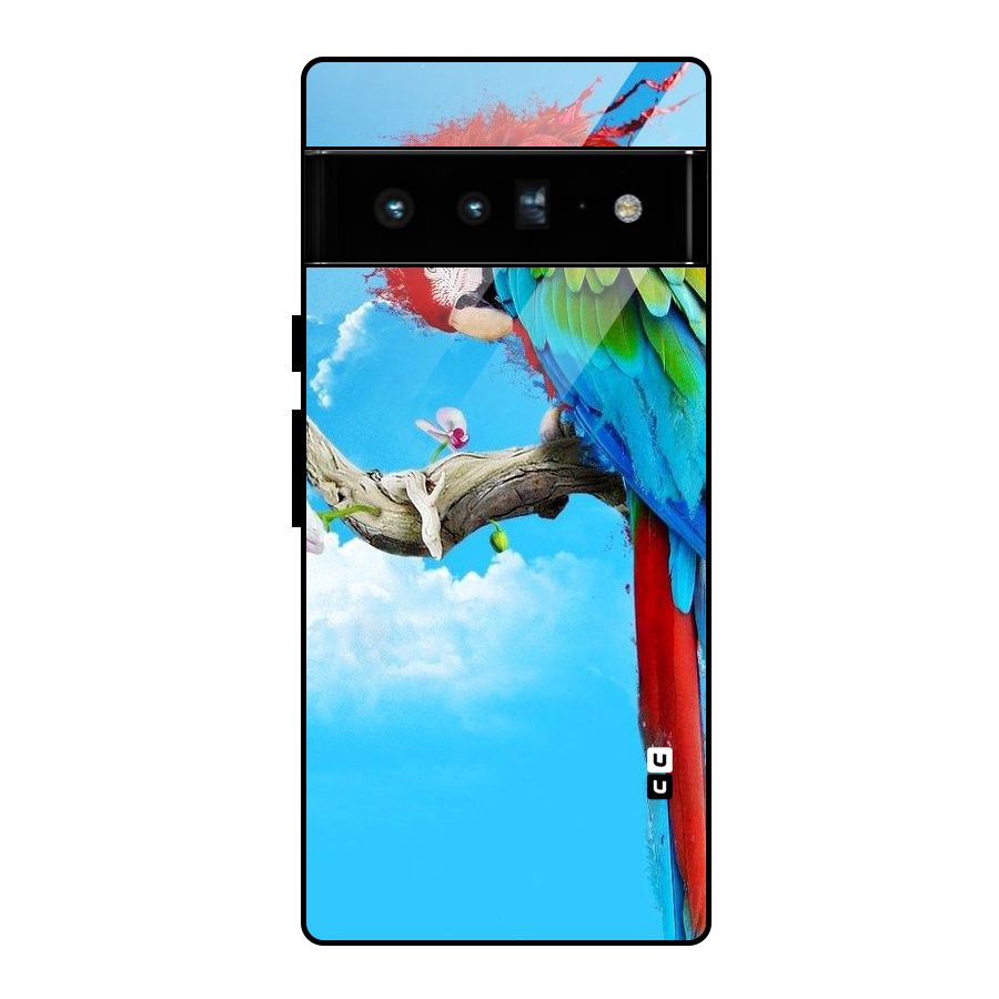 Sky Parrot Glass Back Case for Google Pixel 6 Pro