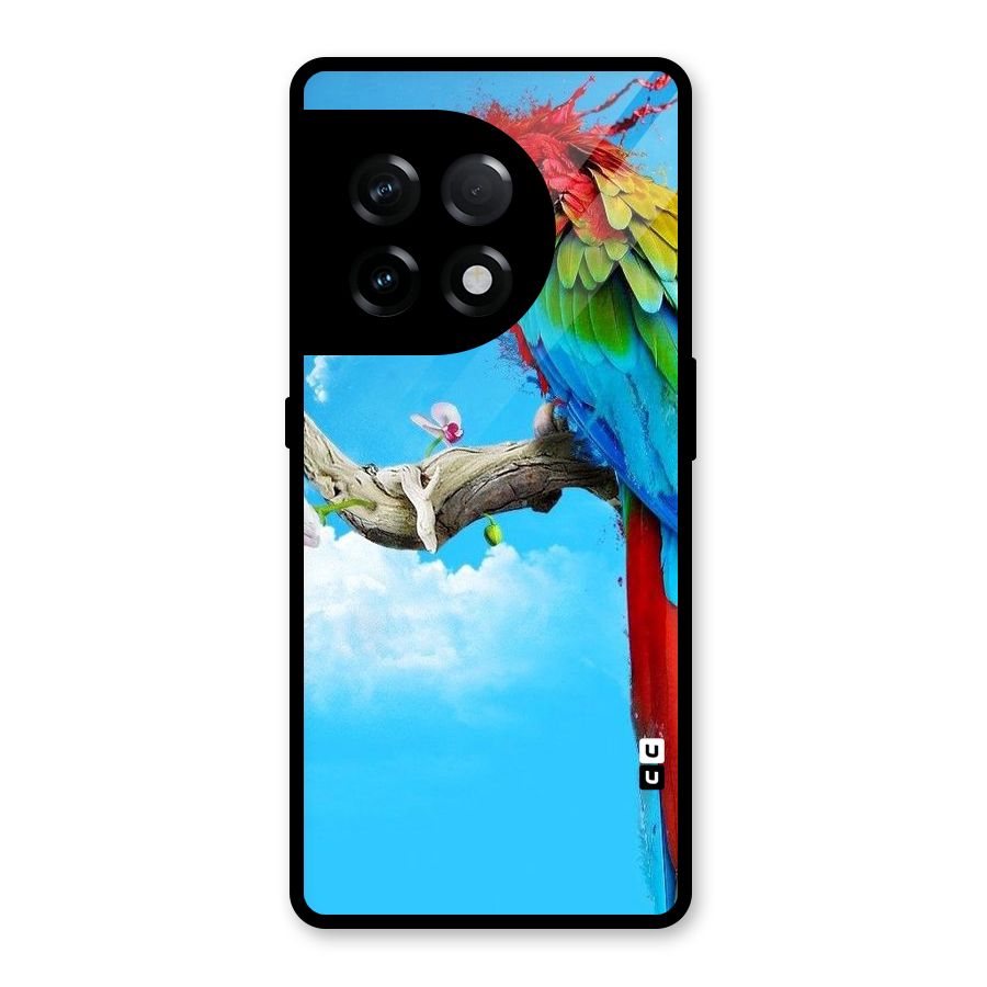 Sky Parrot Glass Back Case for OnePlus 11R
